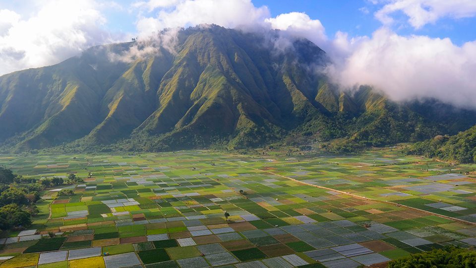 Tetebatu ricefield view