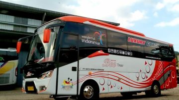 bus-medium.jpg